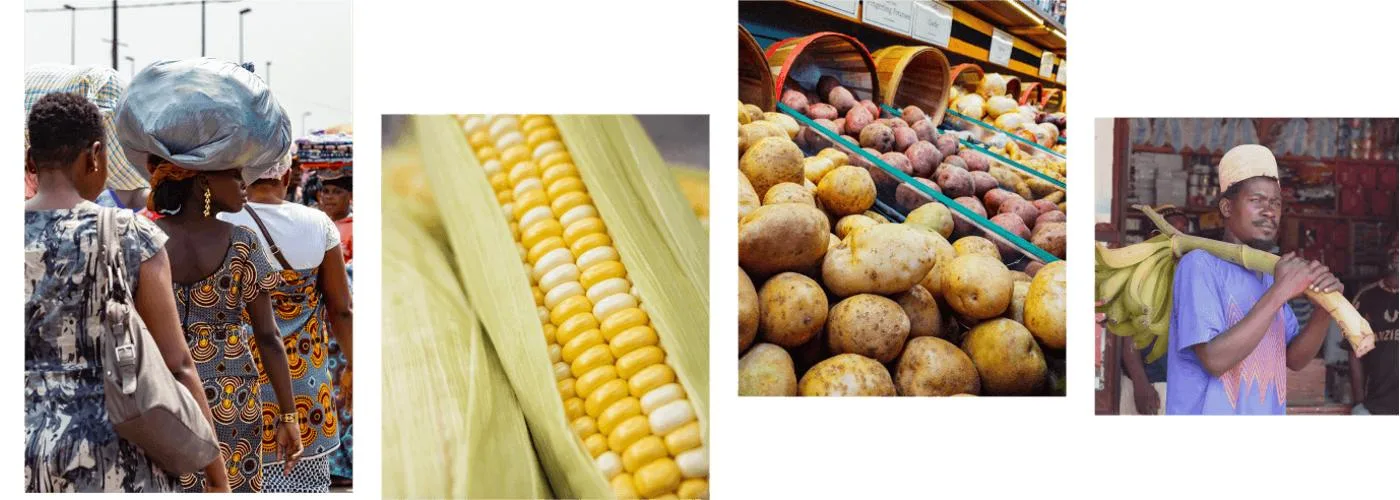 AfriFOODLinks