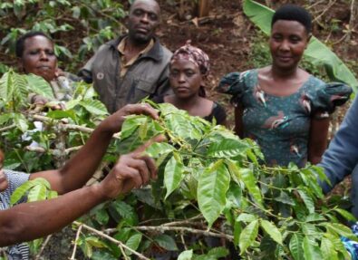 Strengthening Respect for Environmental Rights in Zambia (SR4ER)